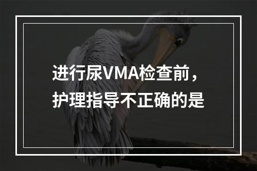 进行尿VMA检查前，护理指导不正确的是