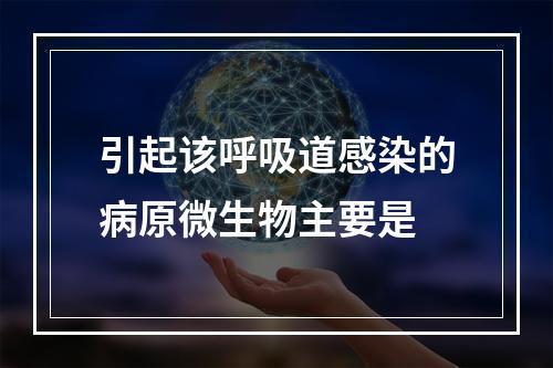 引起该呼吸道感染的病原微生物主要是