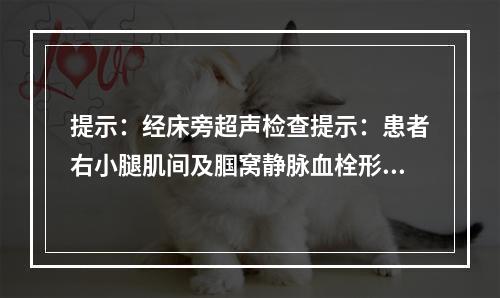 提示：经床旁超声检查提示：患者右小腿肌间及腘窝静脉血栓形成。