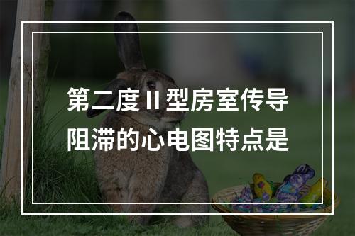 第二度Ⅱ型房室传导阻滞的心电图特点是