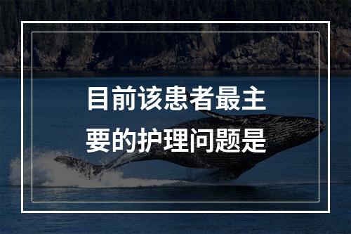 目前该患者最主要的护理问题是