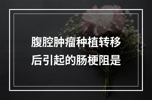 腹腔肿瘤种植转移后引起的肠梗阻是