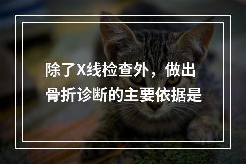 除了X线检查外，做出骨折诊断的主要依据是