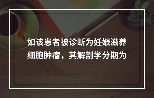 如该患者被诊断为妊娠滋养细胞肿瘤，其解剖学分期为