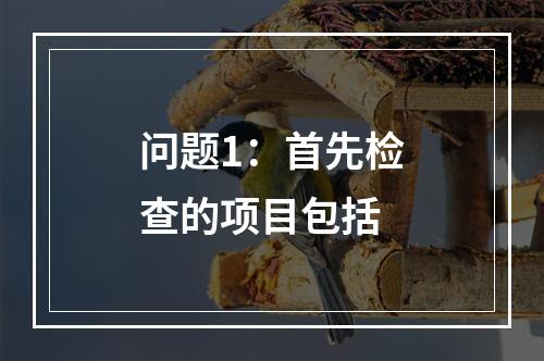 问题1：首先检查的项目包括