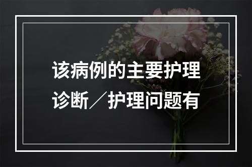 该病例的主要护理诊断／护理问题有