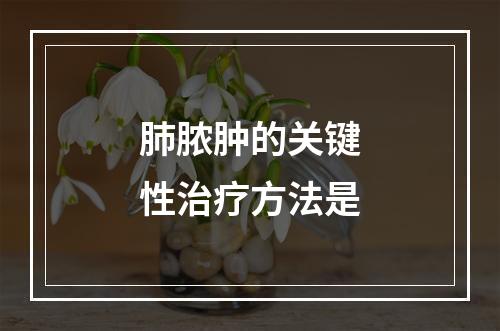 肺脓肿的关键性治疗方法是