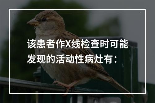 该患者作X线检查时可能发现的活动性病灶有：