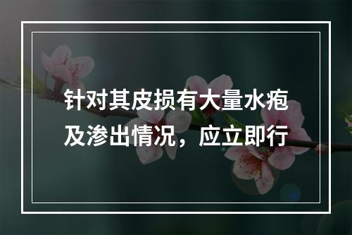 针对其皮损有大量水疱及渗出情况，应立即行