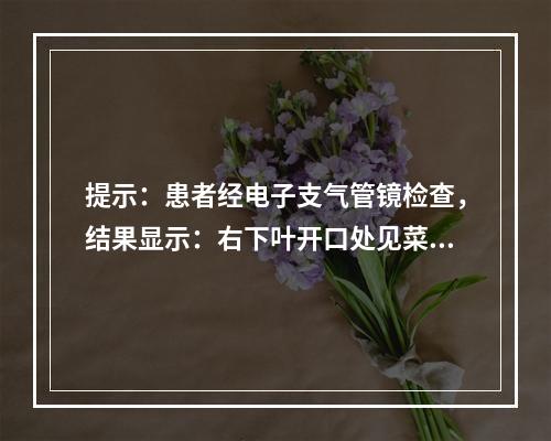 提示：患者经电子支气管镜检查，结果显示：右下叶开口处见菜花样