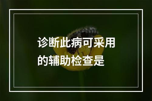 诊断此病可采用的辅助检查是