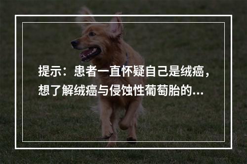 提示：患者一直怀疑自己是绒癌，想了解绒癌与侵蚀性葡萄胎的区别