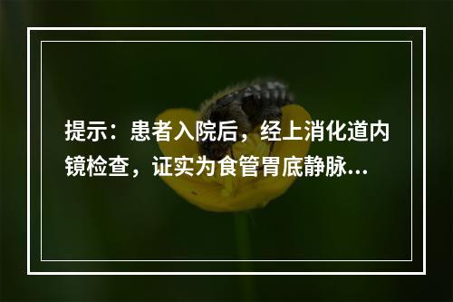 提示：患者入院后，经上消化道内镜检查，证实为食管胃底静脉曲张