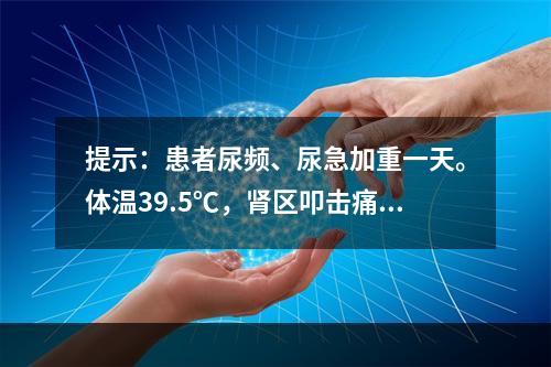 提示：患者尿频、尿急加重一天。体温39.5℃，肾区叩击痛未见