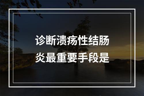 诊断溃疡性结肠炎最重要手段是