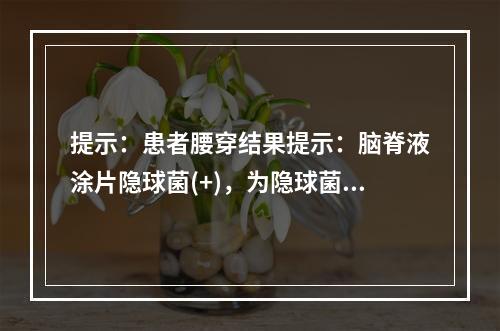 提示：患者腰穿结果提示：脑脊液涂片隐球菌(+)，为隐球菌性脑