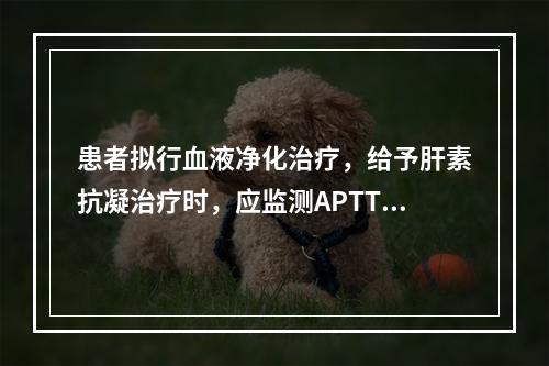 患者拟行血液净化治疗，给予肝素抗凝治疗时，应监测APTT，使