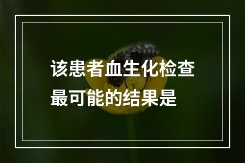 该患者血生化检查最可能的结果是