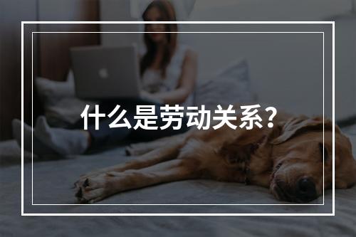 什么是劳动关系？