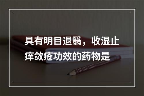 具有明目退翳，收湿止痒敛疮功效的药物是