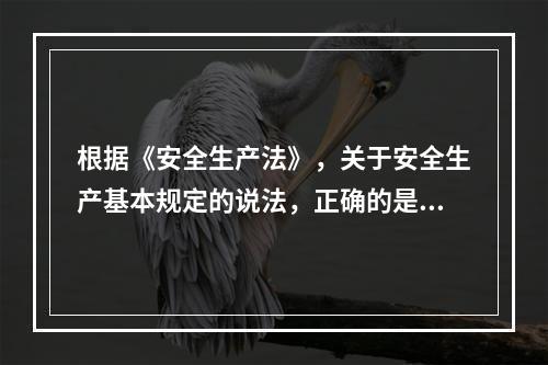 根据《安全生产法》，关于安全生产基本规定的说法，正确的是（）