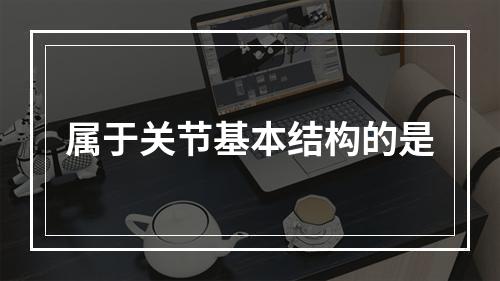 属于关节基本结构的是