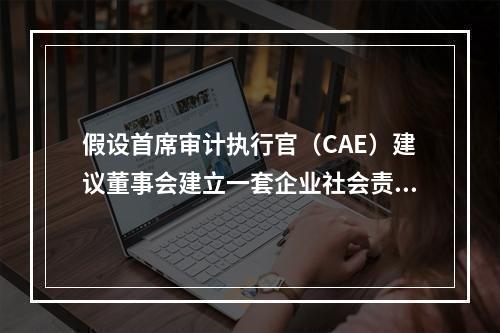 假设首席审计执行官（CAE）建议董事会建立一套企业社会责任政