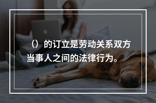 （）的订立是劳动关系双方当事人之间的法律行为。