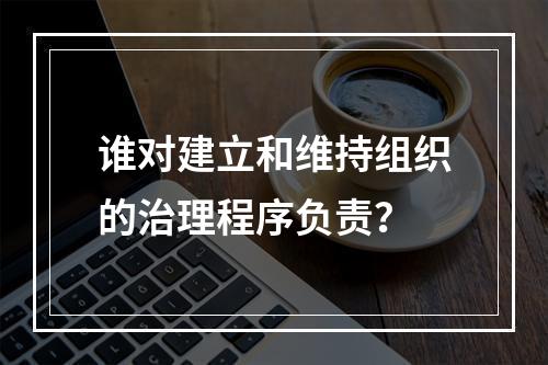 谁对建立和维持组织的治理程序负责？