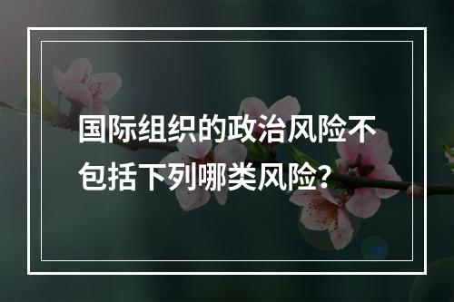 国际组织的政治风险不包括下列哪类风险？