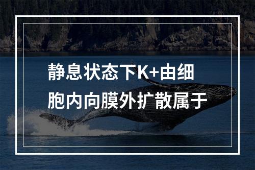 静息状态下K+由细胞内向膜外扩散属于