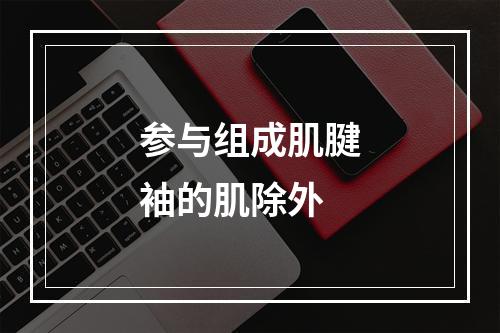 参与组成肌腱袖的肌除外