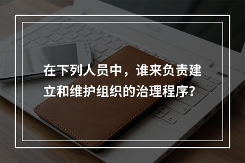 在下列人员中，谁来负责建立和维护组织的治理程序？