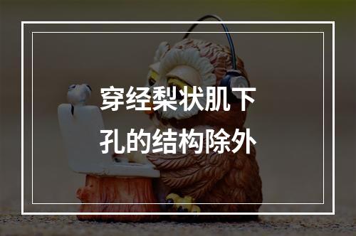 穿经梨状肌下孔的结构除外