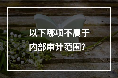 以下哪项不属于内部审计范围？