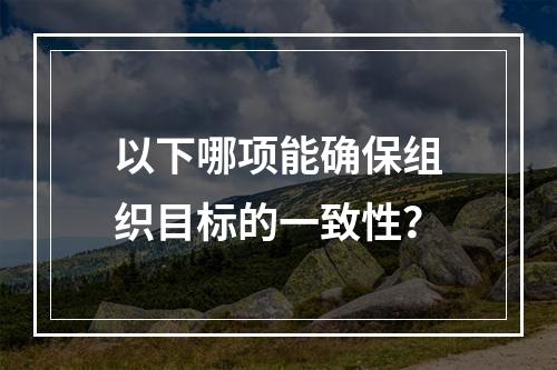 以下哪项能确保组织目标的一致性？