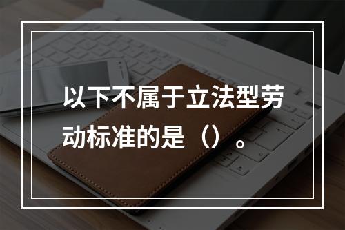 以下不属于立法型劳动标准的是（）。