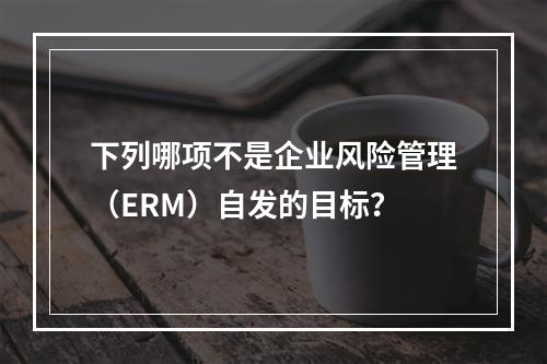 下列哪项不是企业风险管理（ERM）自发的目标？