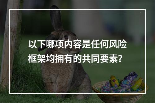 以下哪项内容是任何风险框架均拥有的共同要素？