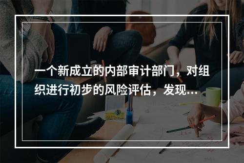 一个新成立的内部审计部门，对组织进行初步的风险评估，发现组织