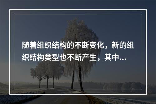 随着组织结构的不断变化，新的组织结构类型也不断产生，其中沙漏