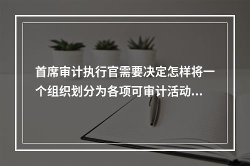 首席审计执行官需要决定怎样将一个组织划分为各项可审计活动，以