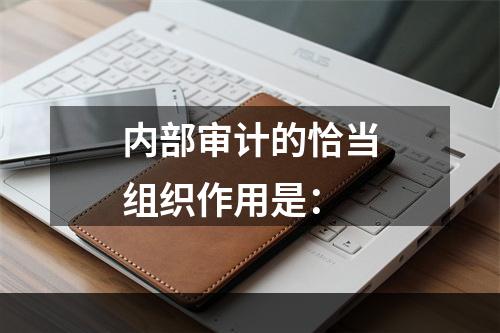 内部审计的恰当组织作用是：