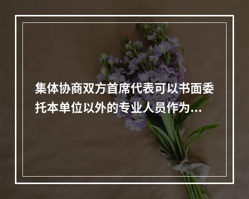 集体协商双方首席代表可以书面委托本单位以外的专业人员作为本方