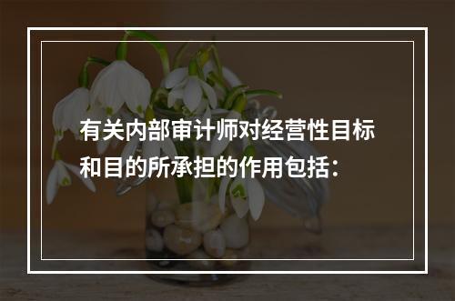 有关内部审计师对经营性目标和目的所承担的作用包括：