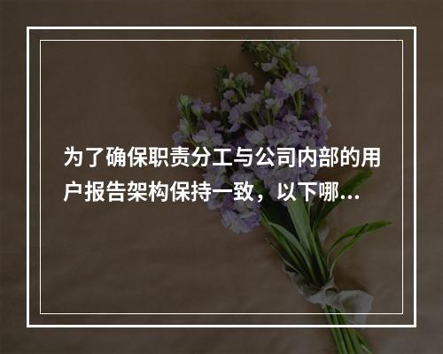 为了确保职责分工与公司内部的用户报告架构保持一致，以下哪种数