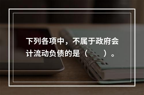 下列各项中，不属于政府会计流动负债的是（　　）。