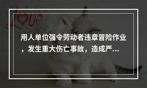 用人单位强令劳动者违章冒险作业，发生重大伤亡事故，造成严重后