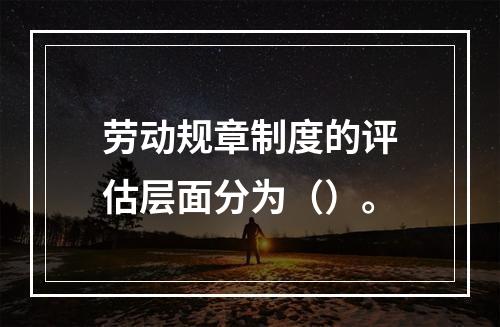 劳动规章制度的评估层面分为（）。