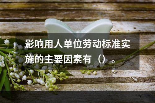 影响用人单位劳动标准实施的主要因素有（）。